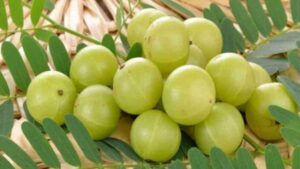 amla