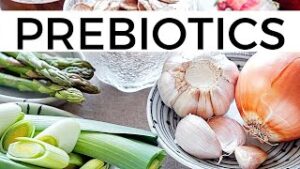 what is prebiotics