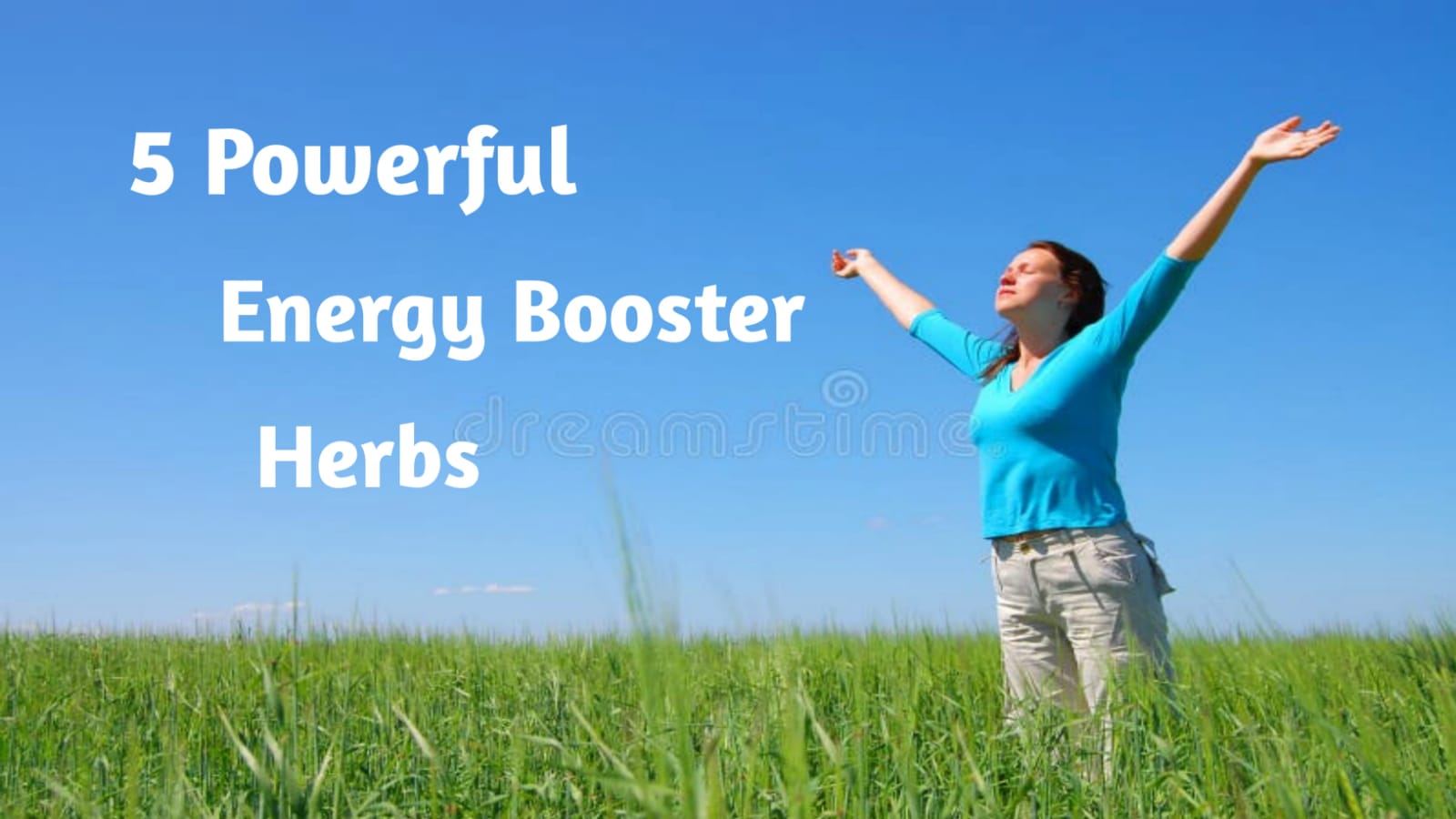 Energy booster herbs