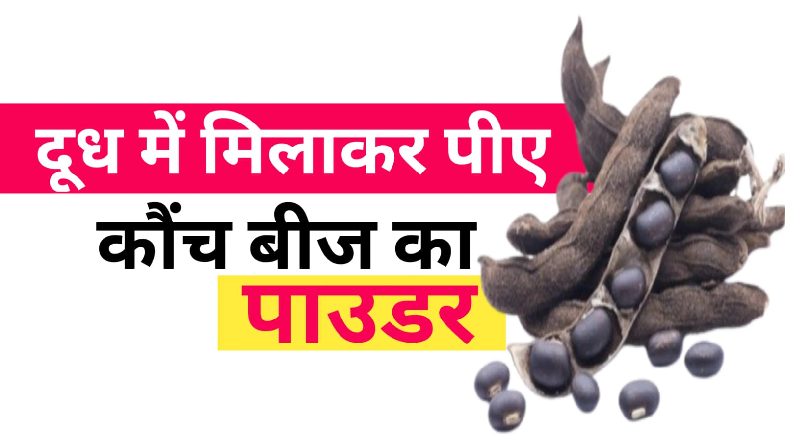 kaunch beej powder benefits