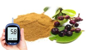 Jamun Seeds For Diabetes