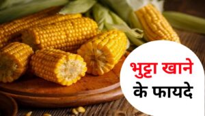 Bhutta Khane Ke Fayde