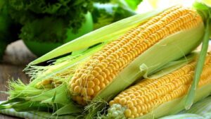 Corn Benefits