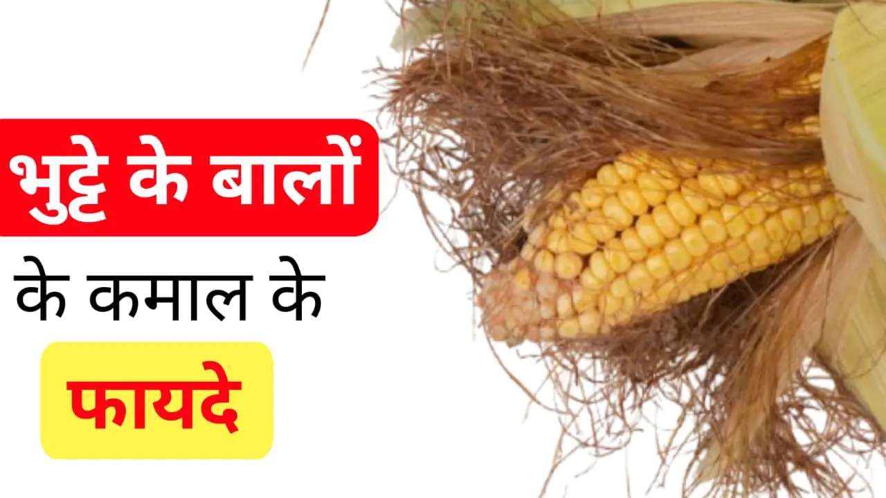 Corn Silk Benefits