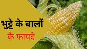 Corn Silk Benefits