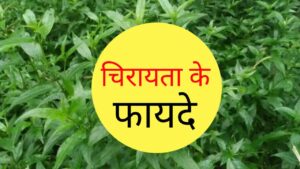 Chirata ke fayde