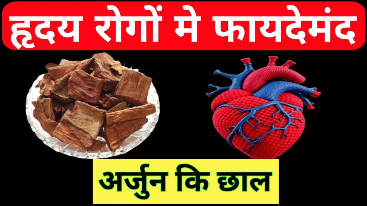 Benefits Of Arjun Chaal