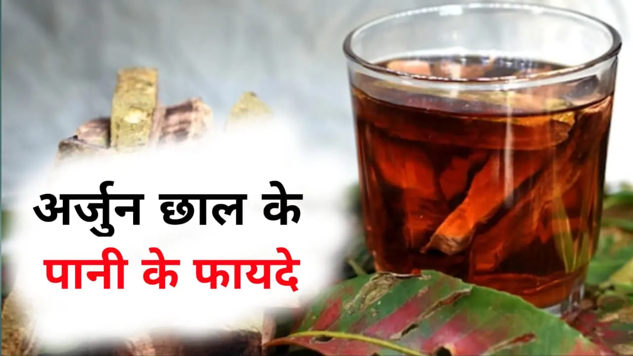 Arjuna Bark Water Benefits In Hindi