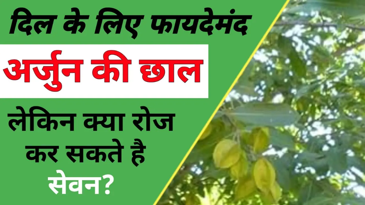 Arjun Chaal Ke Fayde