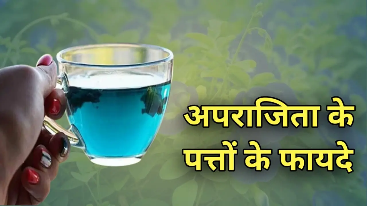 Aparajita Leaves Benefits
