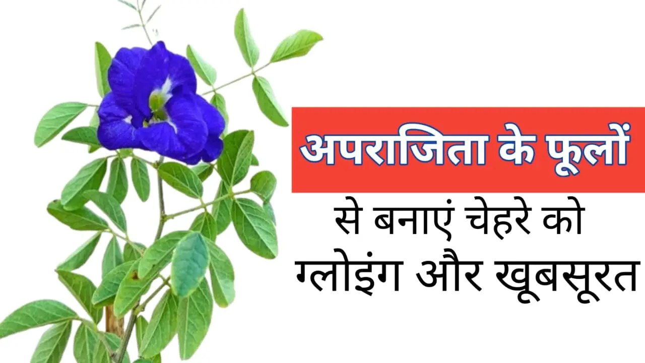 Aparajita Flower Benefits