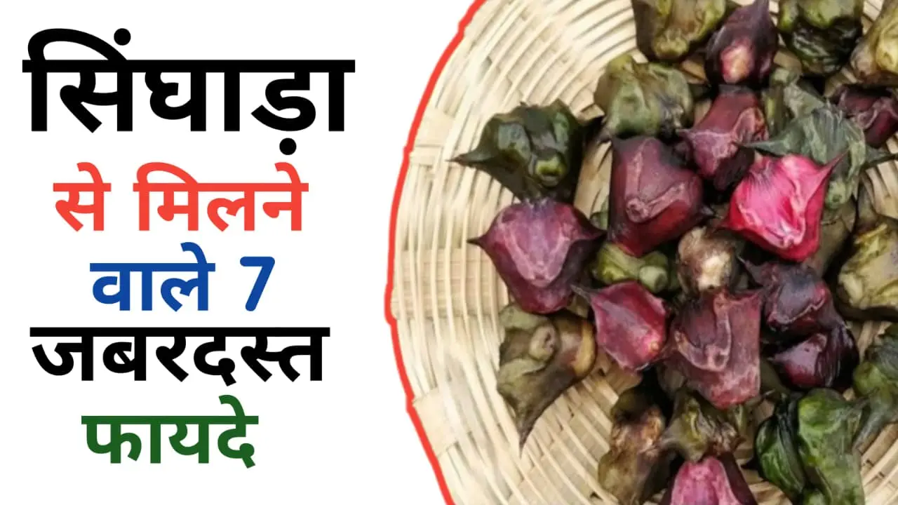 Singhara khane ke fayde