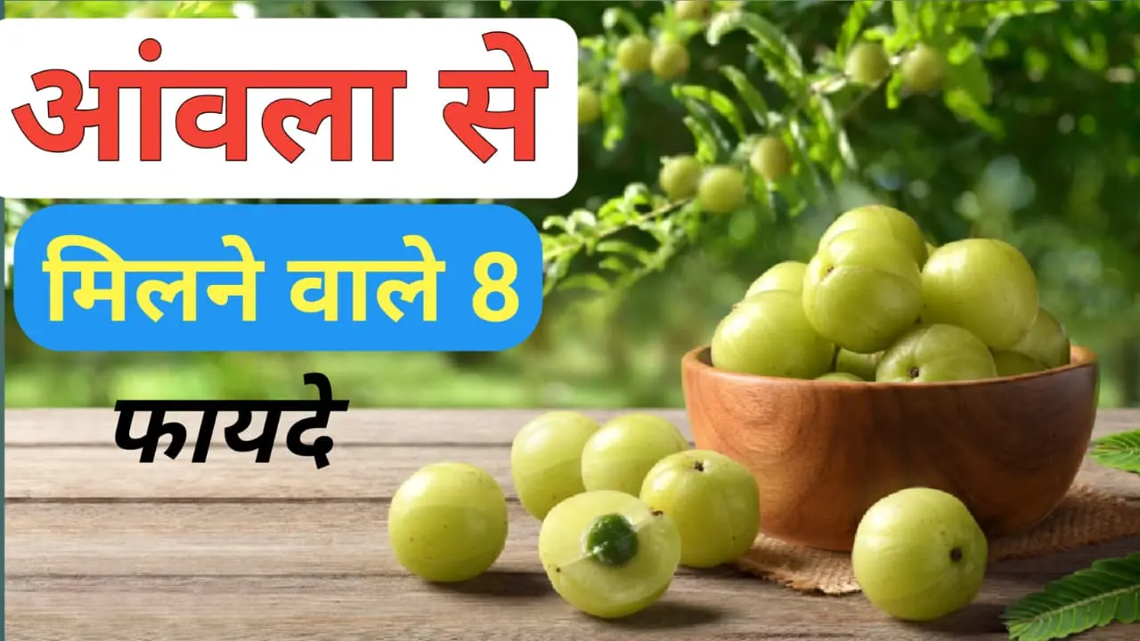 Health Benefits Of Amla