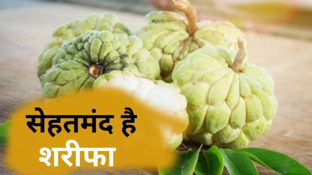 Custard Apple
