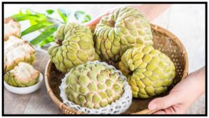 Custard Apple