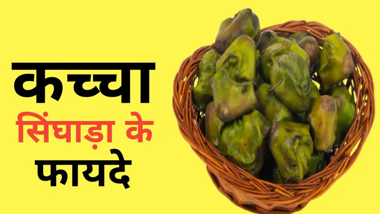 Water Chestnut Benefits