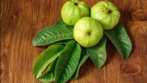 Amrud ke patte ke fayde