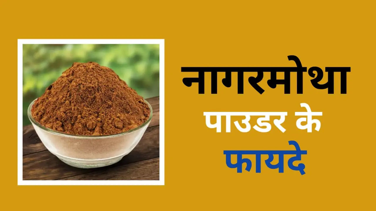 Nagarmotha powder benefits