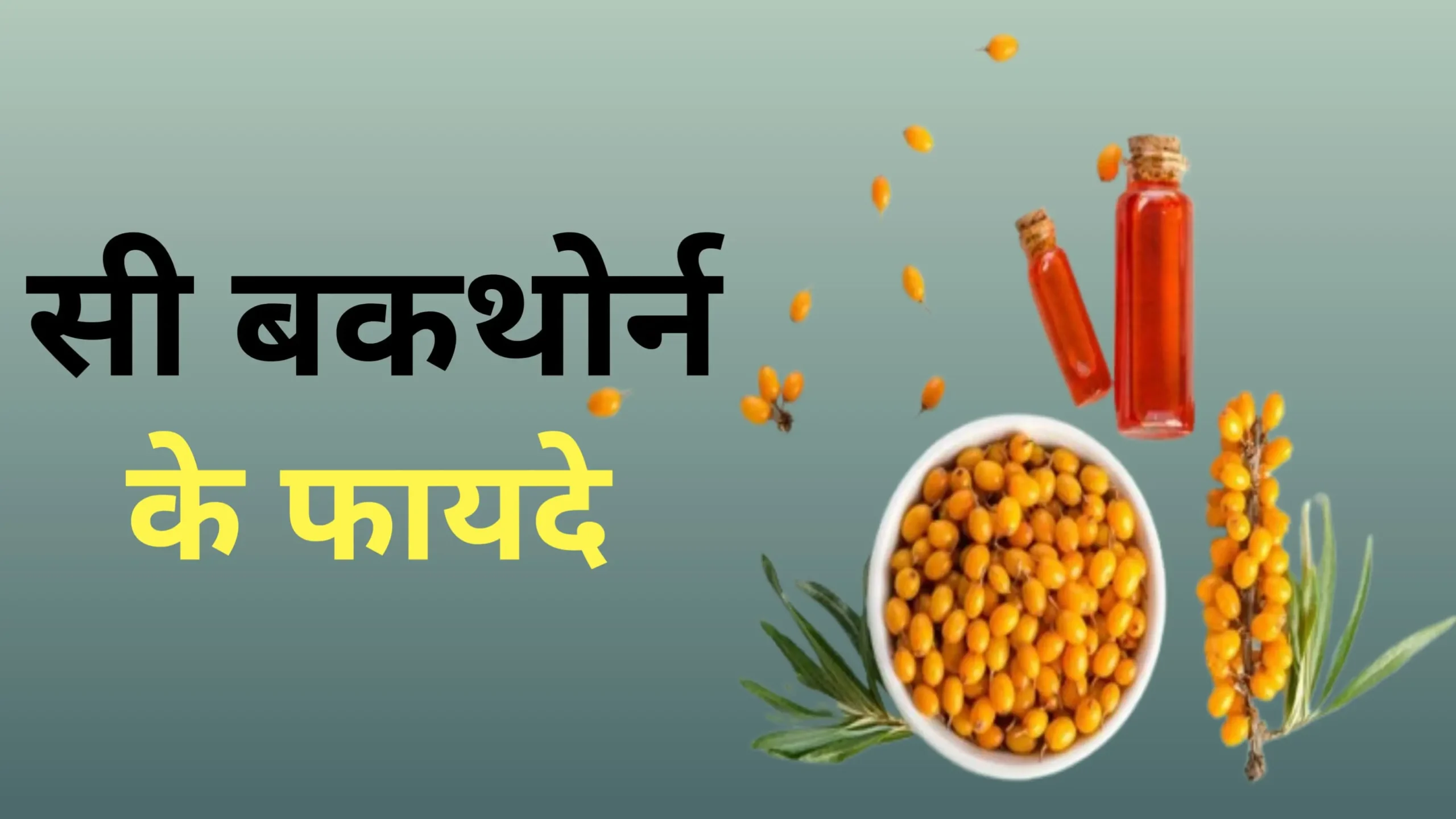 Sea buckthorn ke fayde