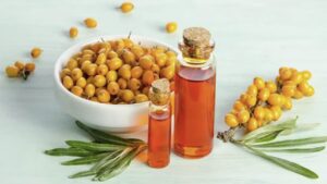 Sea Buckthorn Oil