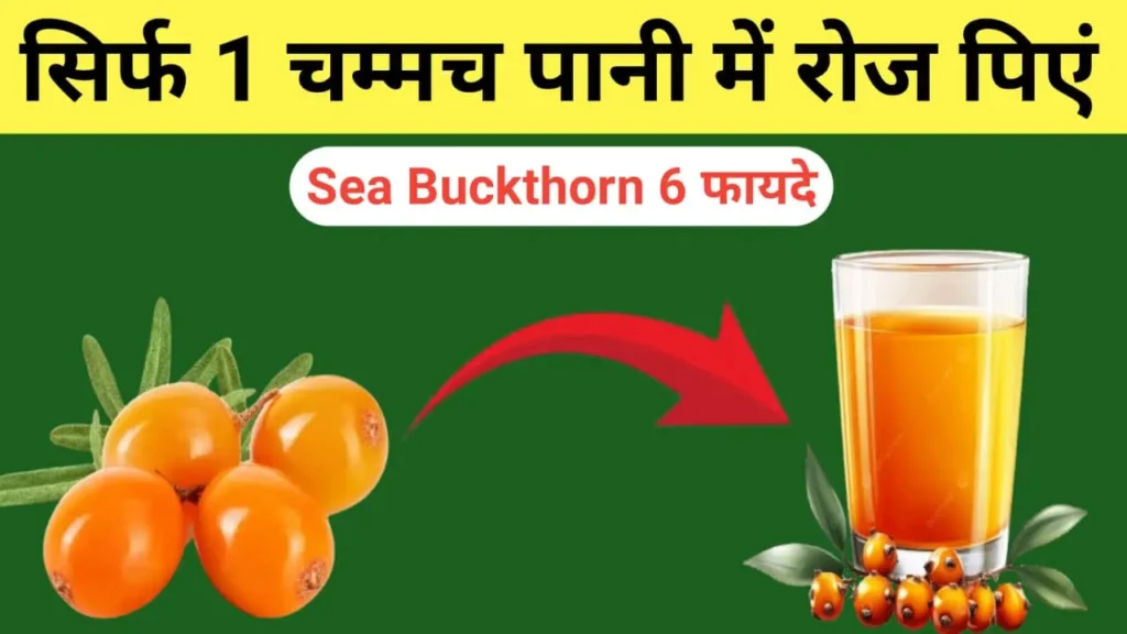 Sea Buckthorn Juice Pine Ke Fayde